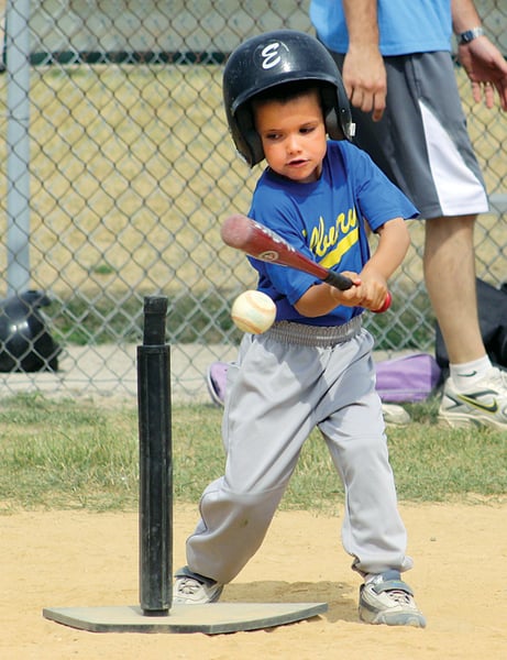Picture for: Baseball FUNdamentals: Gr. K-2