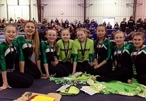 edina high school, gymnastics, gymnasts