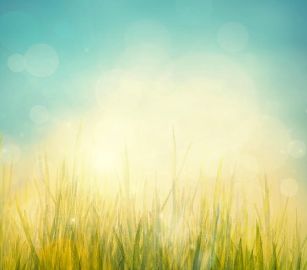 Picture for: Hatha Yoga Slow Flow