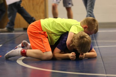Picture for: Wrestling, Strength & Agility: Gr. K-6
