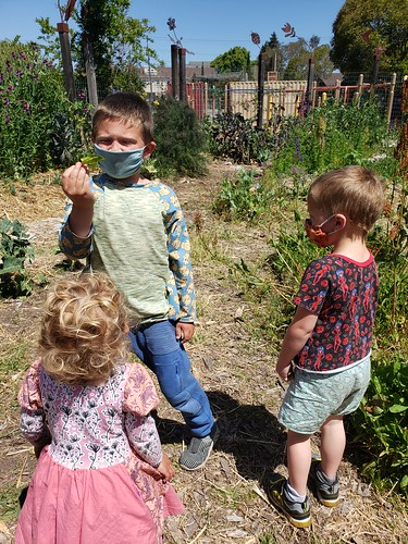 Picture for: ECFE in Nature