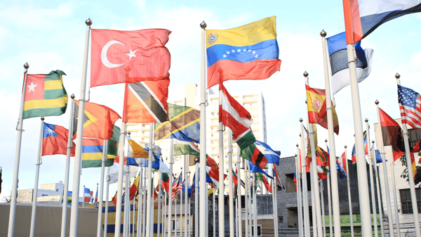 Course Great Decisions: NATOs Future: Adult image 1