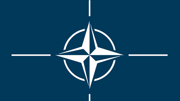 Course Great Decisions: The Future of NATO & European Security image 1