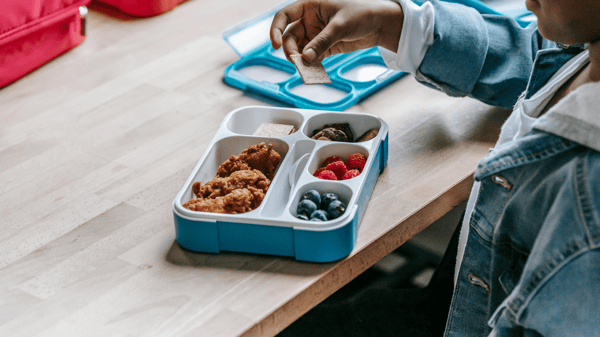 Picture for: Sandwich Society: Gr. 6-8