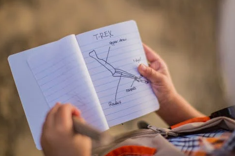 Course Time Travelers: Dino Days and Caveman Ways! Gr. 1-5 image 2