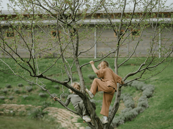 Course JUST LISTED! Into the Woods with Jonah Popehn: Gr. K-5 image 1