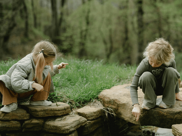 Picture for: Into the Woods: Gr. K-5