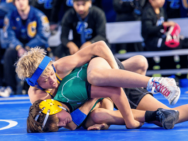 Course Hornet Sports Sampler: Wrestling Gr. K-5 image 1