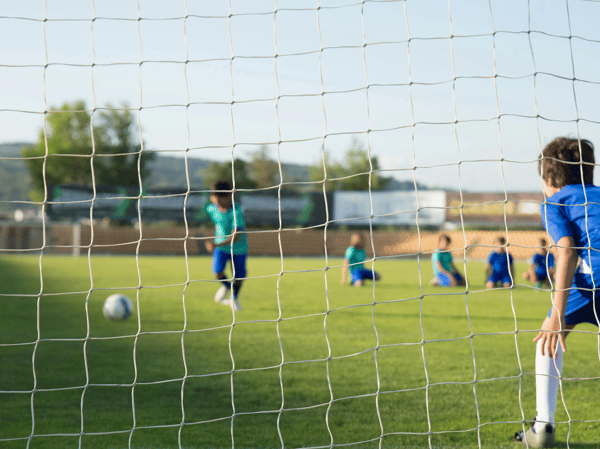 Picture for Hornets Sports Sampler: Soccer Gr. K-5