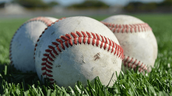 Course Hornet Sports Sampler: Baseball Gr. K-5 image 1