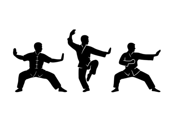 Picture for: Kung Fu - Wu Shu for Self-Defense and Fitness: Beginners: Ages 5 - Adult