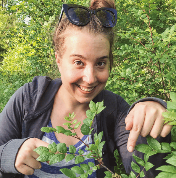 Picture for: Introduction to Foraging: Discovering Wild Foods - Intergenerational