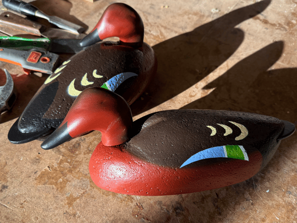 Picture for Waterfowl Decoy