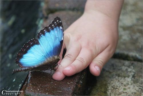 Delicate Touch