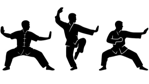 Picture for Kung Fu – Wu Shu: Beginner: Age 5-Adult