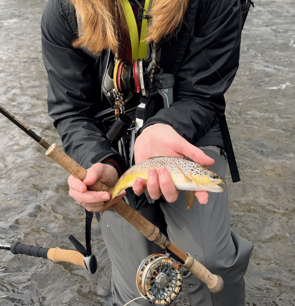 Course Intro to Fly Fishing on the Stream with Scott Harness image 1