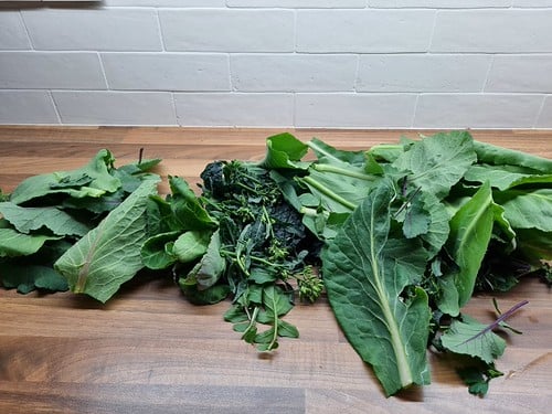 Picture for Introduction to Foraging: Discovering Wild Foods - Intergenerational
