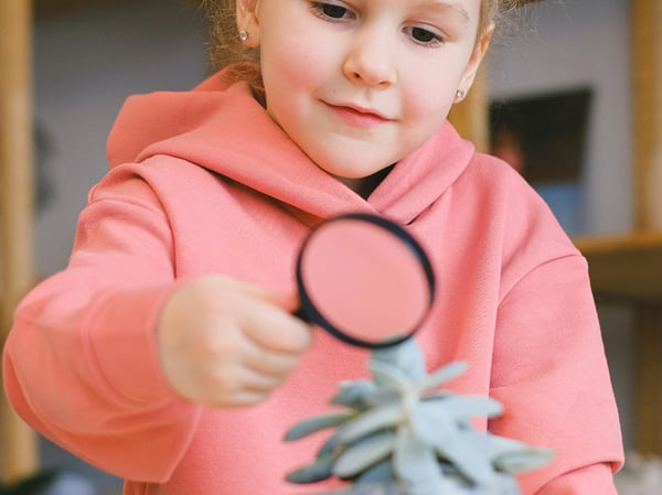 Picture for: Ready, Set, Roll! Preschool Science: Ages 3-5