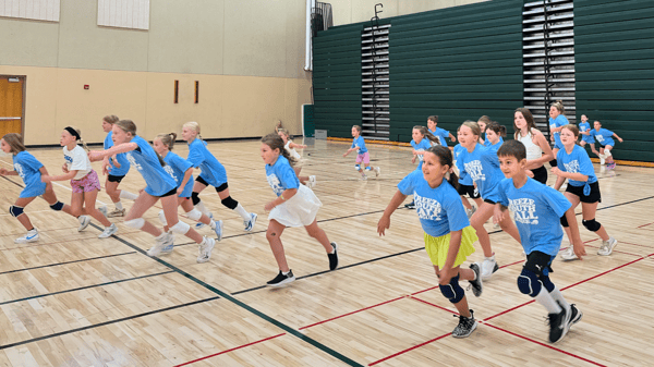 Picture for: Girls Spring Volleyball Clinic: Gr. 1-6