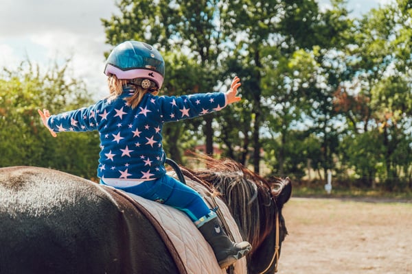 Picture for: *Horse Camp at Boulder Point Equestrian Center