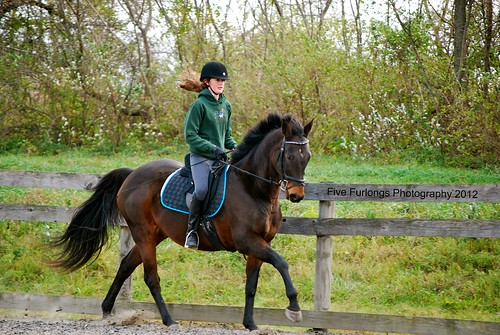 Picture for: 1-Day Horse Camp (Ages 6-15)