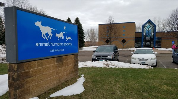 Picture for: Meet Furry Friends at the Animal Humane Society