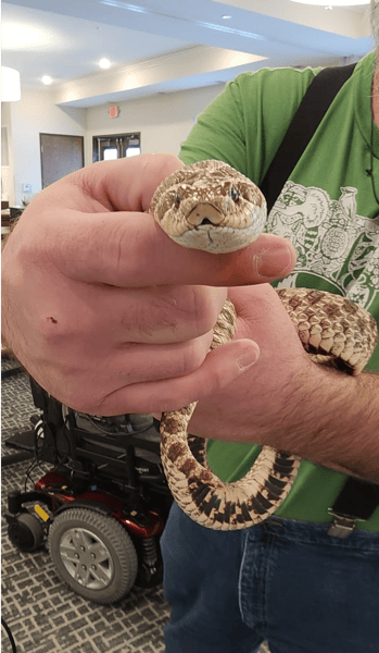 Picture for: Shepard Farm: Reptiles and Amphibians