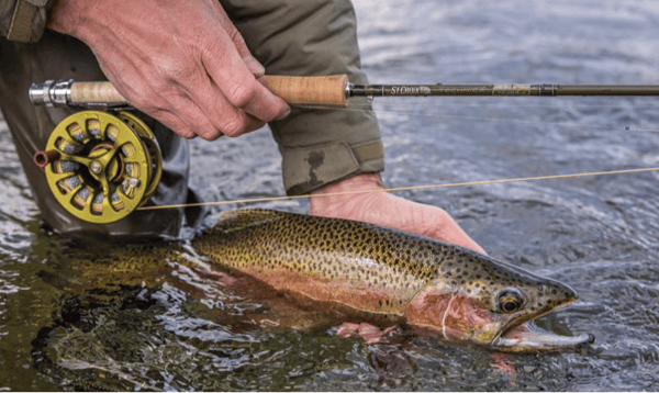 Picture for: Introduction to Fly Fishing - NEW!