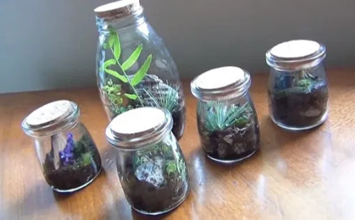 Picture for: DIY Fairy Garden Jar