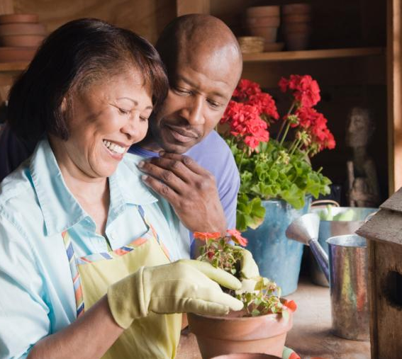 Picture for: Houseplant Therapy