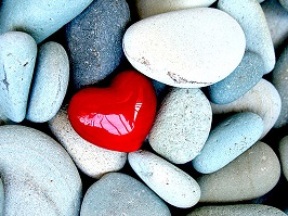 Picture for: Developing Intuition - Online Course