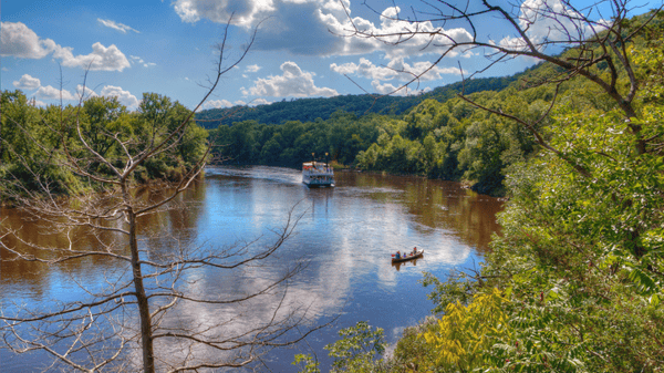 Picture for: Walking With The Woods: Guided Forest Bathing