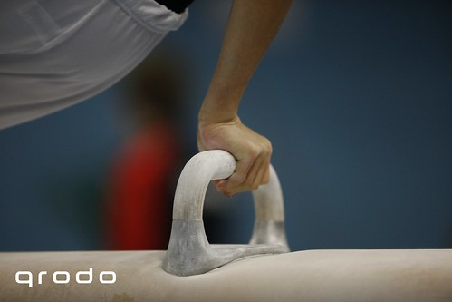 Course Rings, Pommel Horse and More! image 1