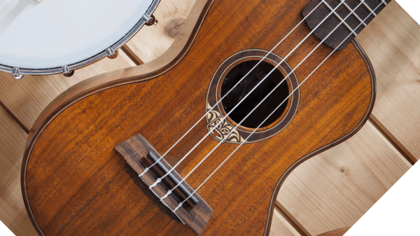 Course Guitar and Ukulele: Individual Lessons, Ages 6 to Adult image 1