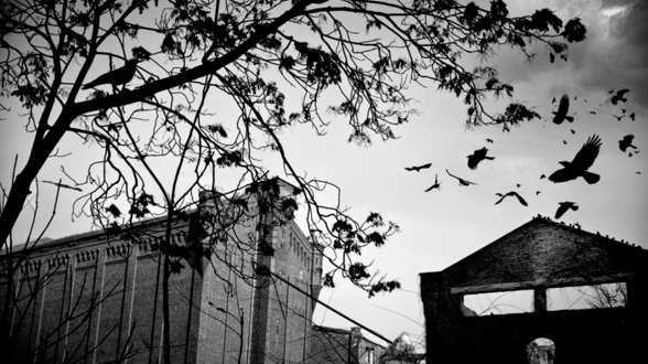 Course Hitchcock's Echoes image 1