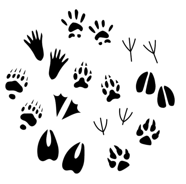 Picture for: Wildlife Track and Sign
