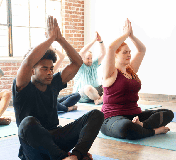 Picture for: Hatha Yoga: Iyengar Yoga All Levels