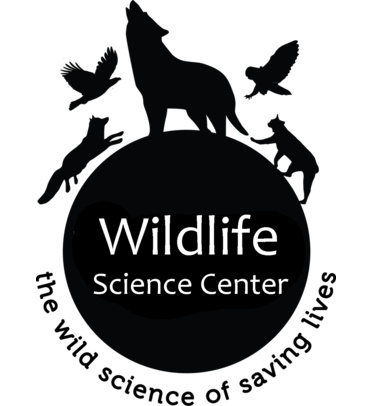 Course AwD26: Wolf Howl Bonfire image 1