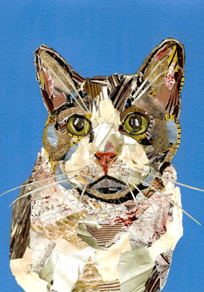 Picture for: Pet Collage Workshop