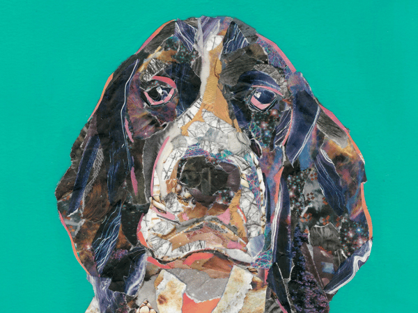 Picture for: Pet Collage Workshop