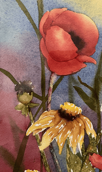 Picture for: Watercolor Painting: Poppies and Daisies
