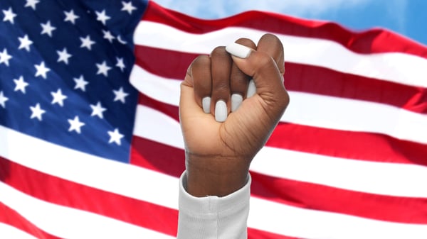 Course What is History? The Civil Rights Movement image 1