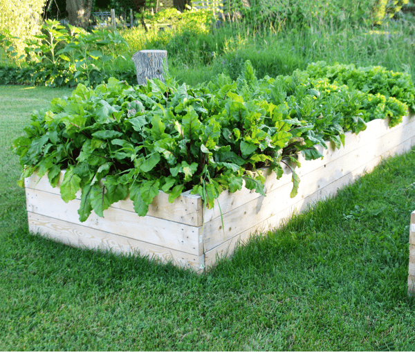 Picture for: AWD26: Gardening and Games