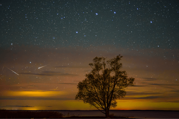 Picture for Seeing Summer Skies