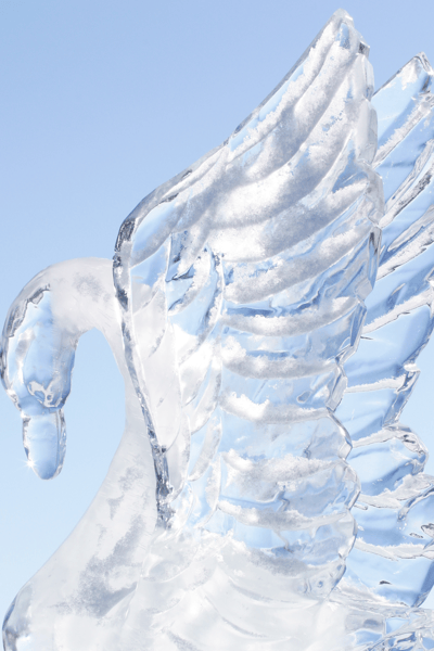 Picture for: History of the St. Paul Winter Carnival