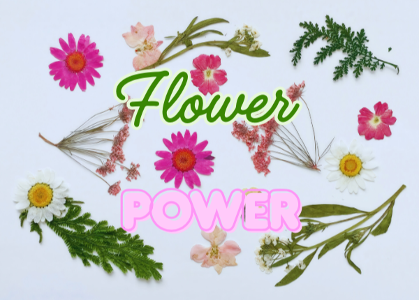 Picture for Flower Power Art (Adult + Child)