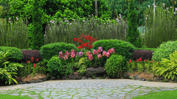 Course Como Park Hidden Gems image 1