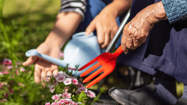Course What's Eating your Plant? - Online Course image 1