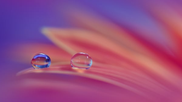 Picture for: Nature Photography