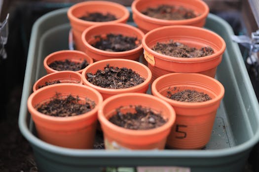Image for OUTDOOR LEARNING: Growing in the Garden
